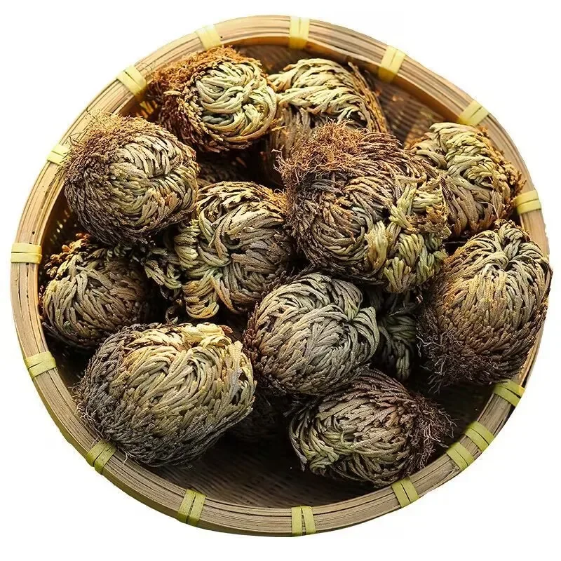 Natural Big Jericho Rose Dried Selaginella Tamariscina Balls Diy Resin Jewelry Crafts Candle Making Home Garden Livingroom Decor