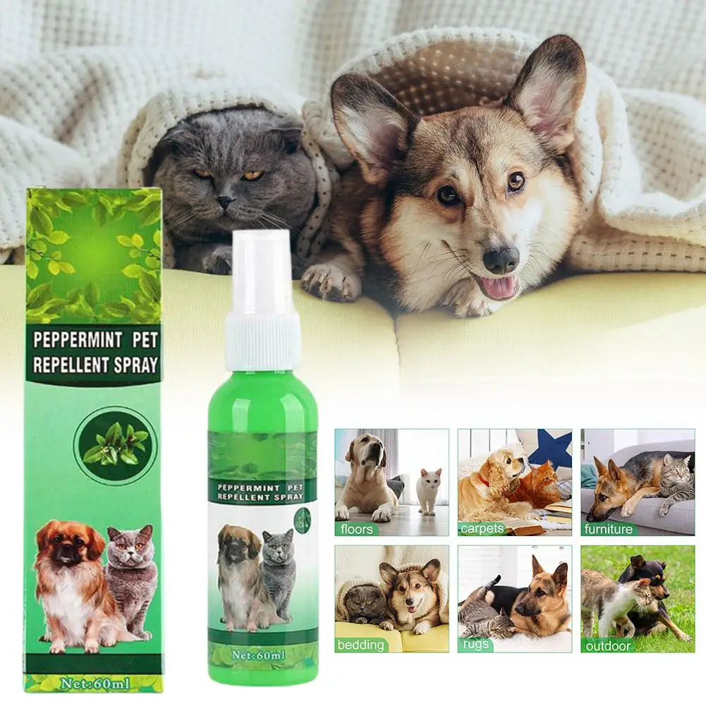 60ml Pet Pest Spray Pet Dog Anti-flea Mites Ticks Drops Treatment Pest Flea Kitten Treatment Puppy Spray Kitten Puppy R0o8