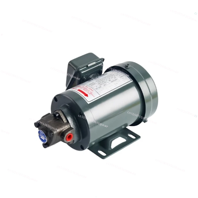 Cast Iron Cycloidal Gear Lubrication All-copper  Motor Oil Pump Stable Circulation For Industrial Hydraulic Mechanical