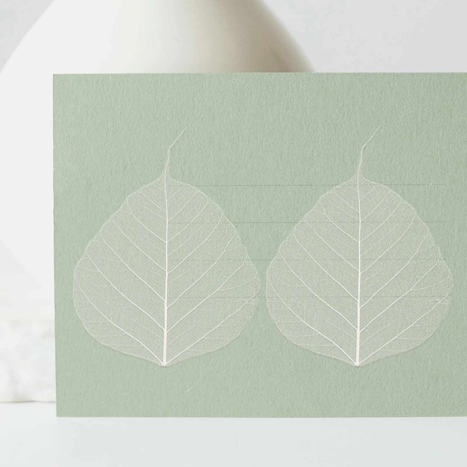 

20pcs Leaf Vein Bookmark Materials DIY Dried Leaves Specimen Natural Craft Project Supplies For Scrapbooks Greeting Cards Photo