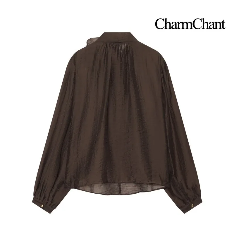 CHARMCHANT Women's 3D Rose Appliques Blouse Top Outerwear Tie-Neck Balloon Sleeve Semi-Sheer Loose Casual Daily Autumn 2026