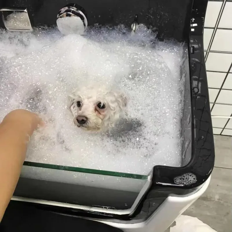 

WB-01 Pet Clinic Shower Spa Machine Cleaning Grooming Bathe Bathtub