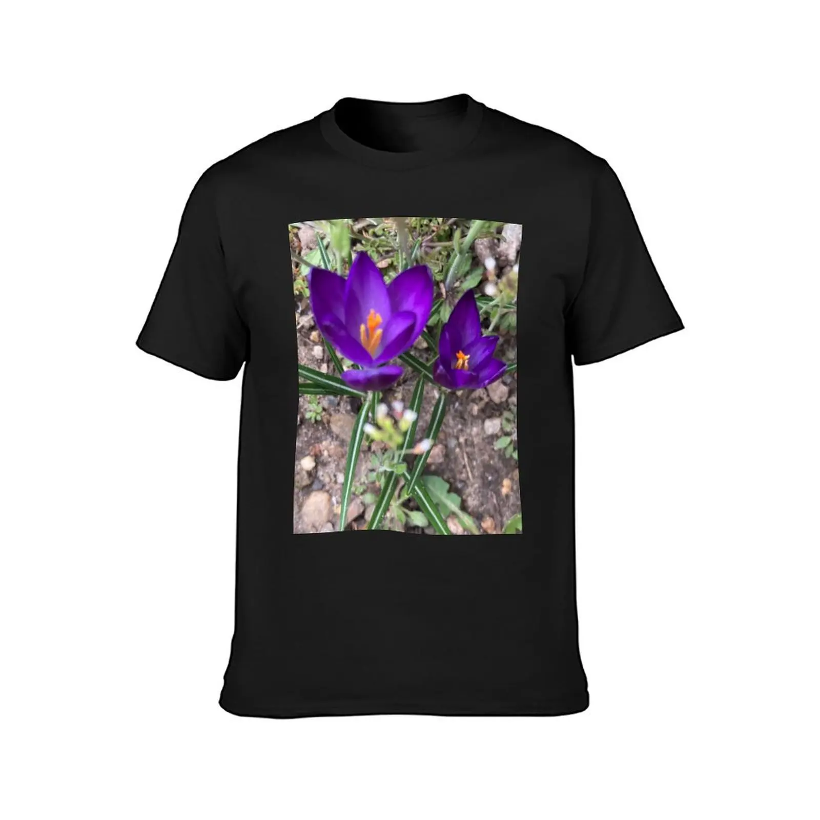 Two Sharp Crocuses T-Shirt customizeds tees tops men graphic t shirts