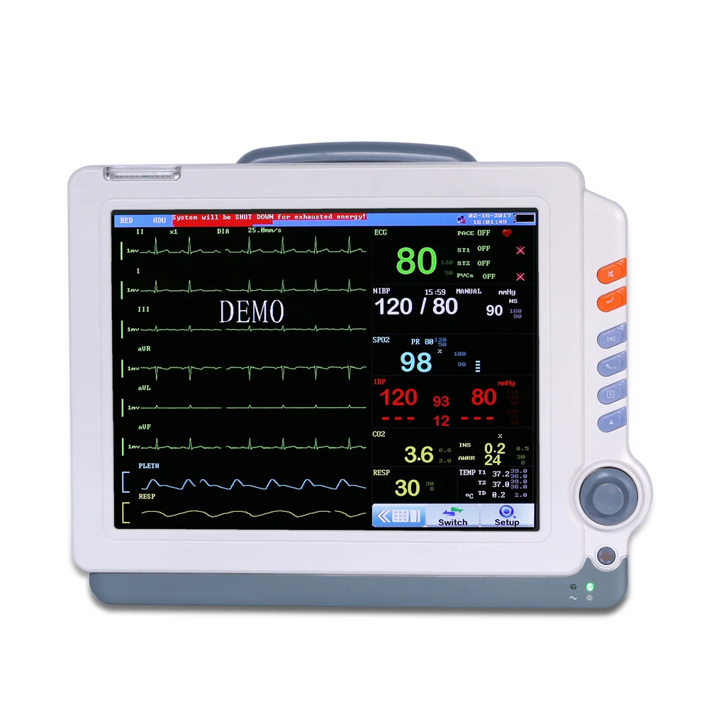 Uso animal Pantalla grande LCD de 12 pulgadas seis parámetros PR ECG TEMP SPO2 NIBP HR RESP Monitor de paciente veterinario para mascotas