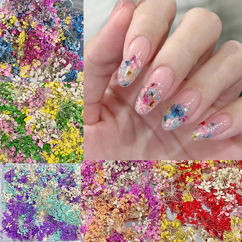 

1 Box Mixed Dried Flower Nail Art Stickers Colorful Floral Nail Decals Manicure Decoration Girls Nail Charms DIY Accessories