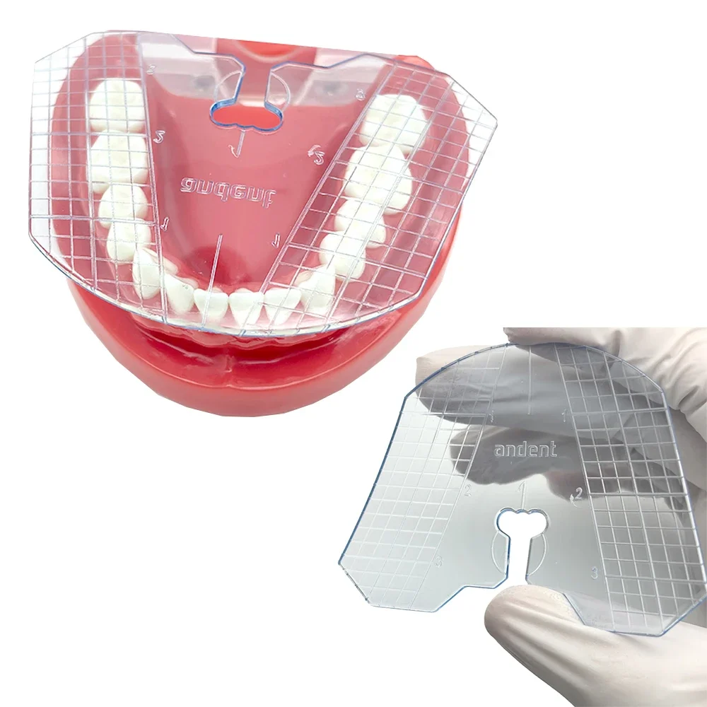 

Стоматологическая направляющая пластина, расположение зубов на протезе для полного выравнивания зубных протезов, стоматология, ортодонтическая лаборатория, измерительные инструменты