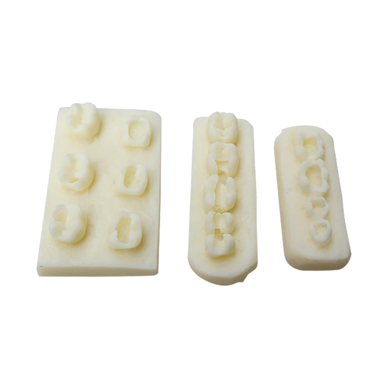 Dental practice, resin block practice, filling of dental implants, resin module examination, practice model