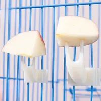 Bird Parrot Fruit Fork Pet Supplies Plastic Food Rack Cage Feeding Pet Supplies Fruit Snack Fork Bird Cage Accessories