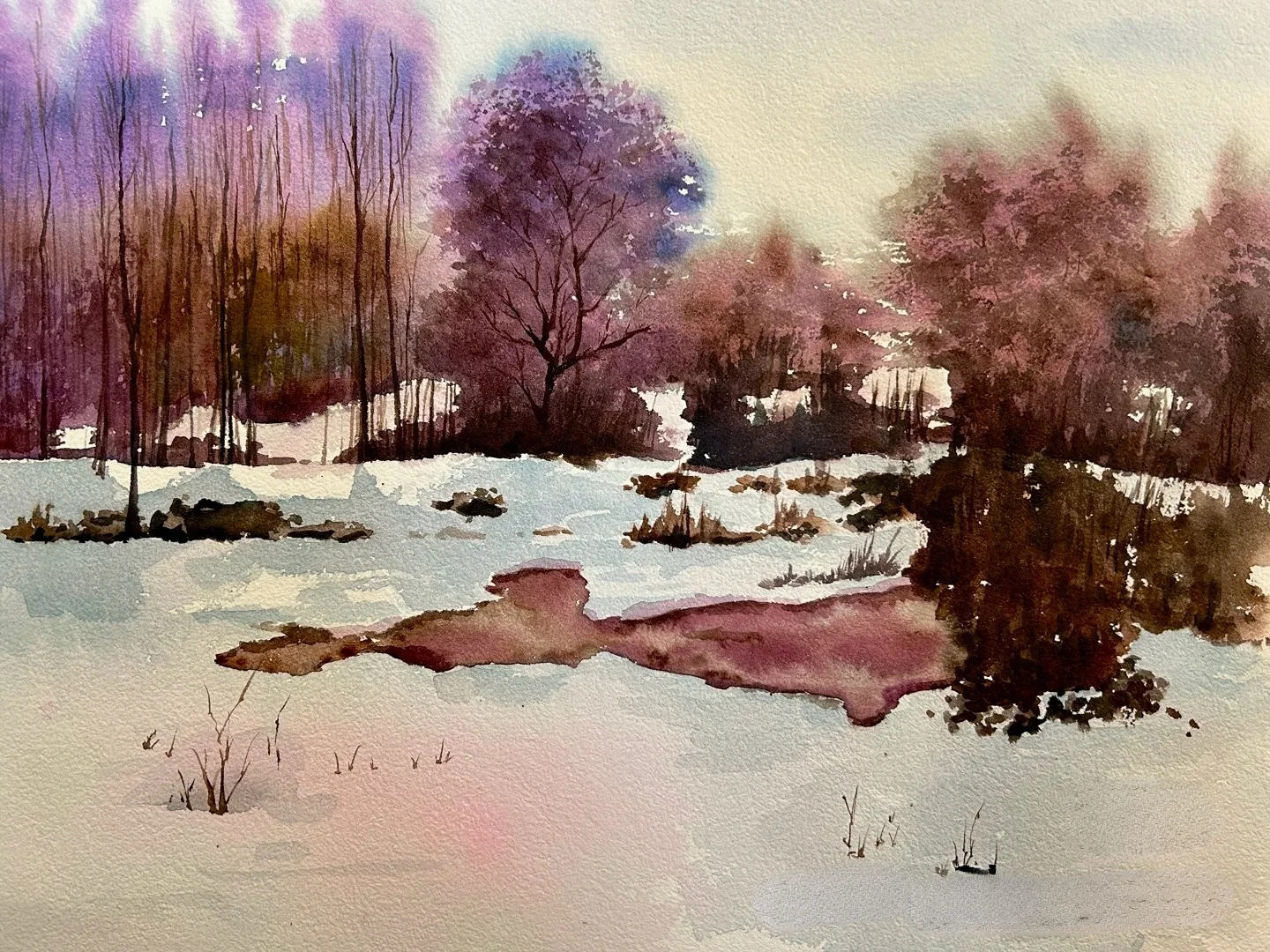 Aquarellfarben-Set, 24 Farben, 12 ml, intensive Farben für Figuren- und Landschaftsmalerei, Wert für Erwachsene und Künstler