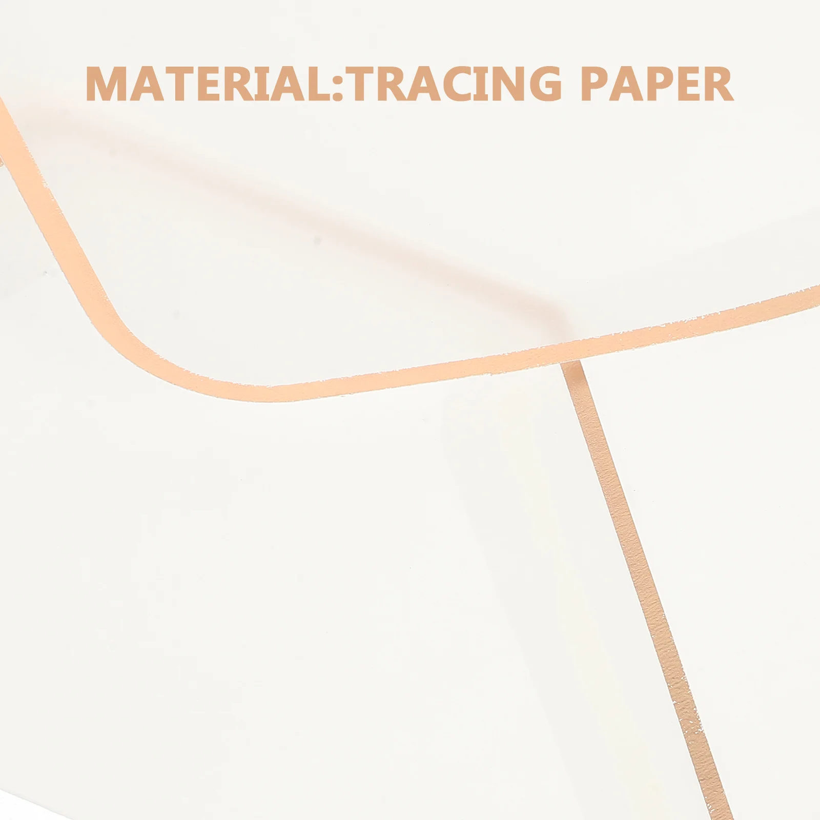 

10Pcs Gold Foil Envelopes for Wedding Invitations Transparent Blank Invitation Cards Envelopes for Party Celebration