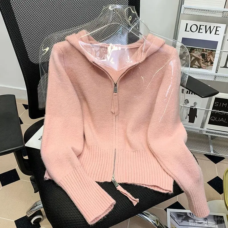 Autumn Winter Pink Knitted Cardigan Hooded Zipper Jackets Sweaters Short Tops Streetwear Design Trend Coats Loose Lazy Coat New