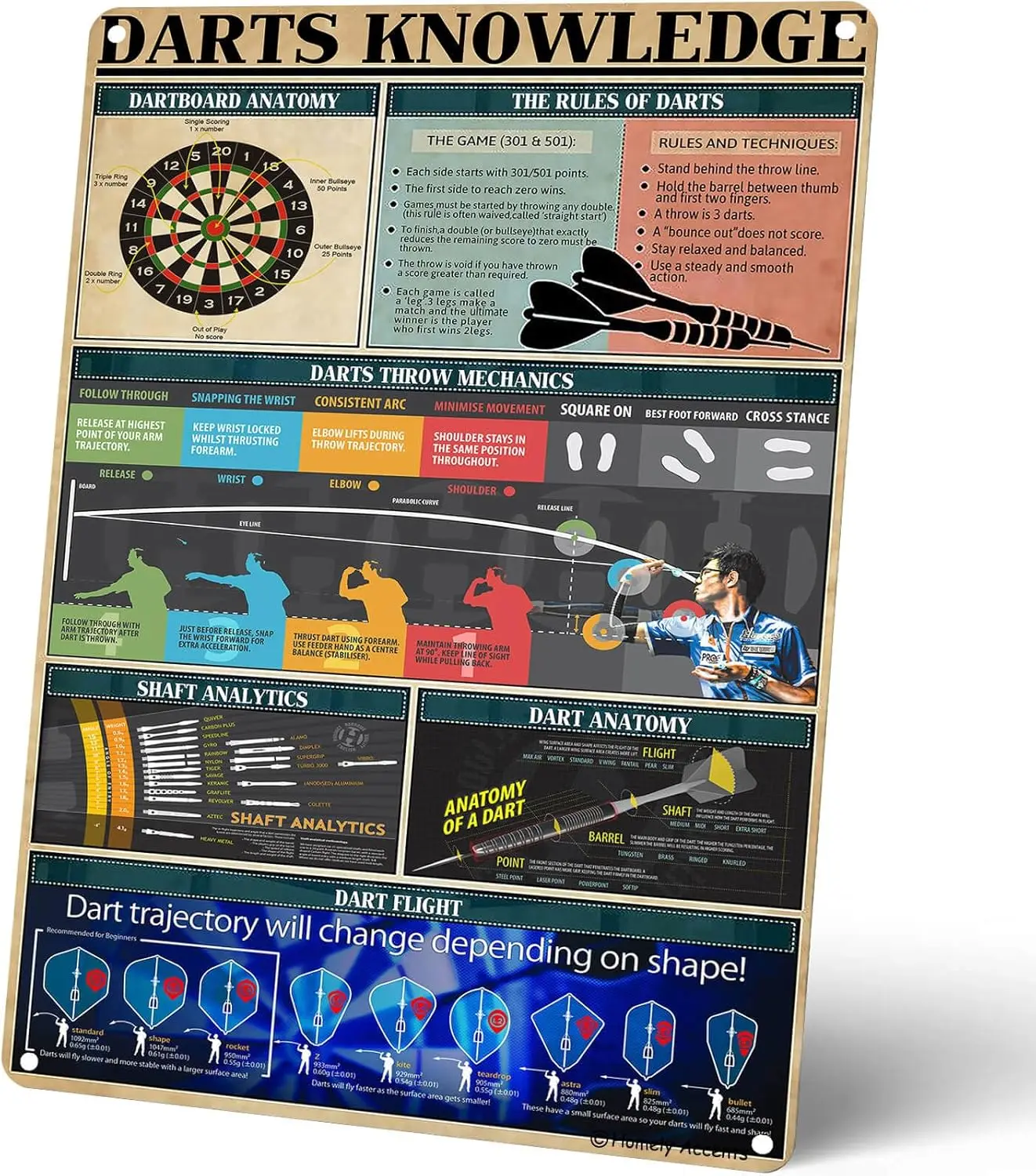 Homely Accents Darts Knowledge Poster, Dartscheibenmechanik und Regeln, Vintage-Metallblechschilder, Wandkunst-Dekoration für Game Room Bar