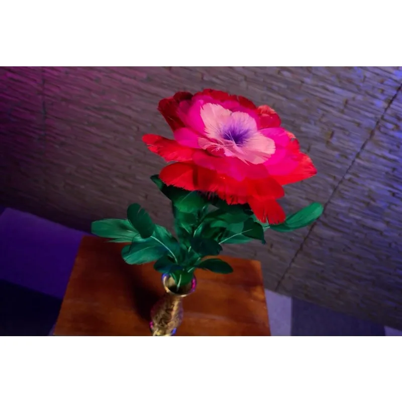

Cane, Flower & Vase Gimmicks Feather Flower Multicolor Vase Sunflower Bouquets Stage Magic Tricks Magician Illusions Magia Props