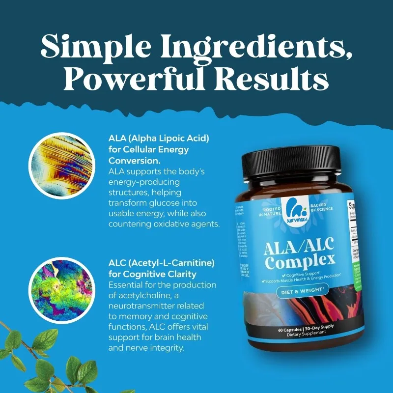 Suplemento puro de ácido alfa lipólico Acetil-L-carnitina Metabolic Health -60 cápsulas