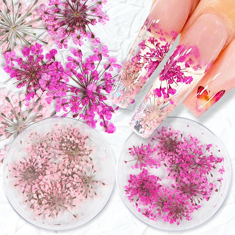 10Pcs 3D Dried Flower Nails Art Decorations Natural Floral Nail Charms Jewelry Set Nail Supplies For Professionals Accessories