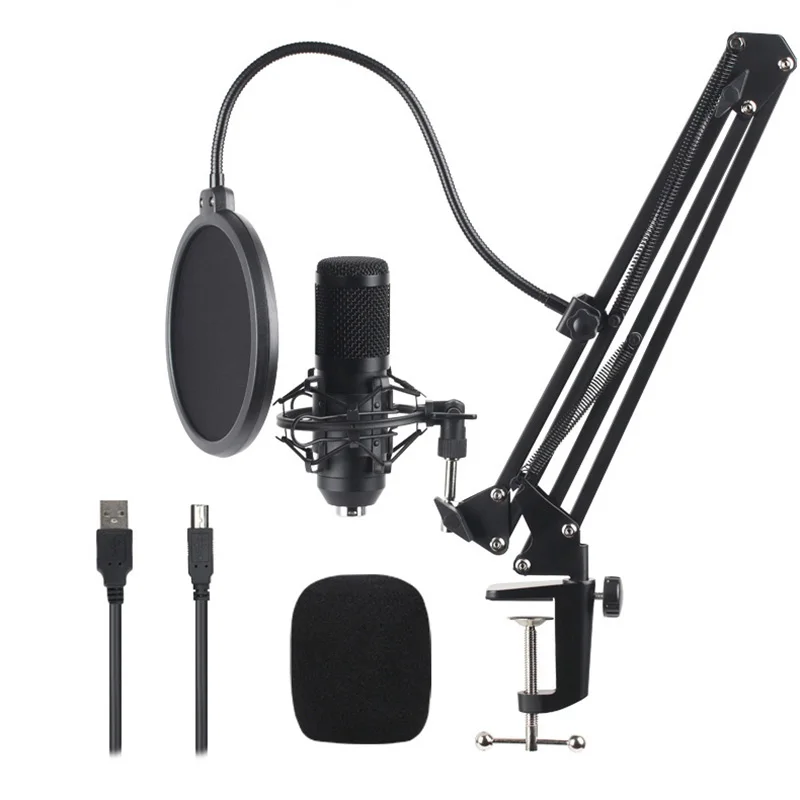 Microphone Condenser D80 Recording Microphone with Stand and Ring Light for PC Karaoke Streaming Podcasting for Youtube