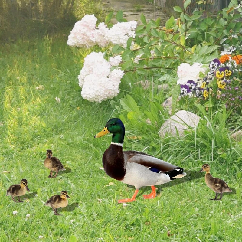 Garden Decorations Outdoor Ducks Silhouette Yard Signs with Stakes Scary Family Home Front Yard Party Decoration