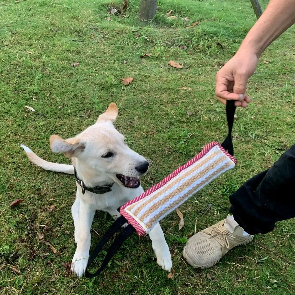 

Pet Accessories Bite-resistant Dog Bite Pillow Rope Handles Durable Pet Chew Sticks Interactive Dog Tug Toy for Cats and Dogs