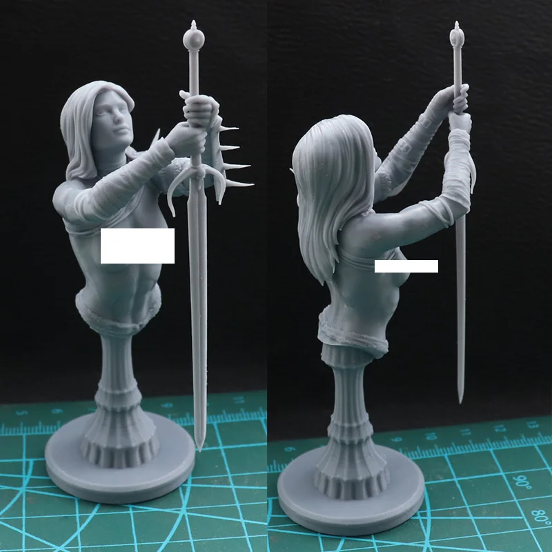 80mm 100mm Resin Model Kits Female Swordsman Bust Figure Sculpture Unpainted No Color RW-936-B