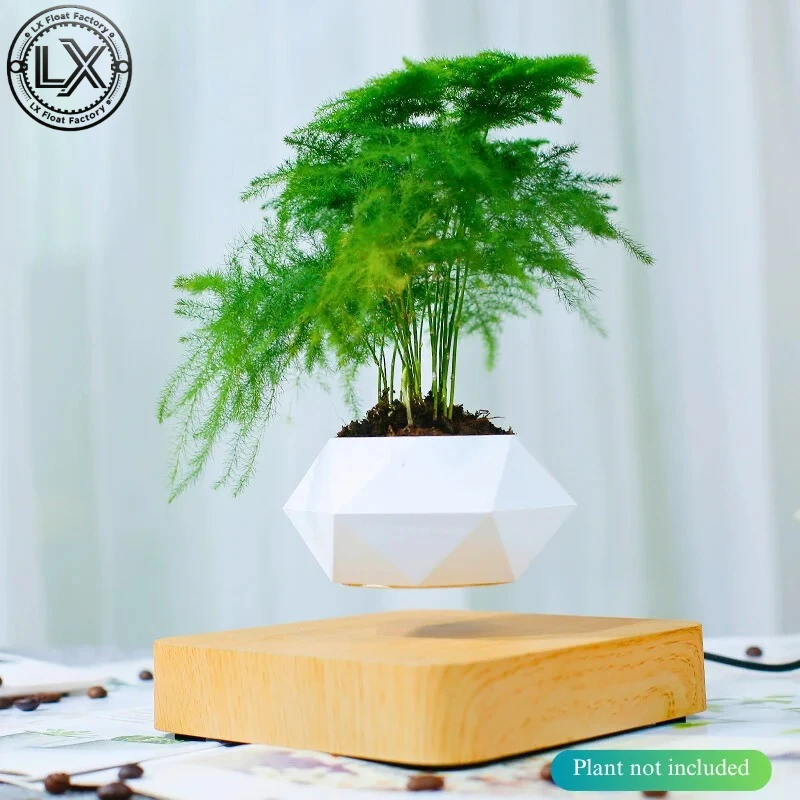 Levitating Plant Pots Floating Hanging Planter for Small Plants. Elevate Your Space Level
