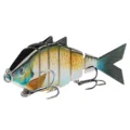 Orange Bluegill