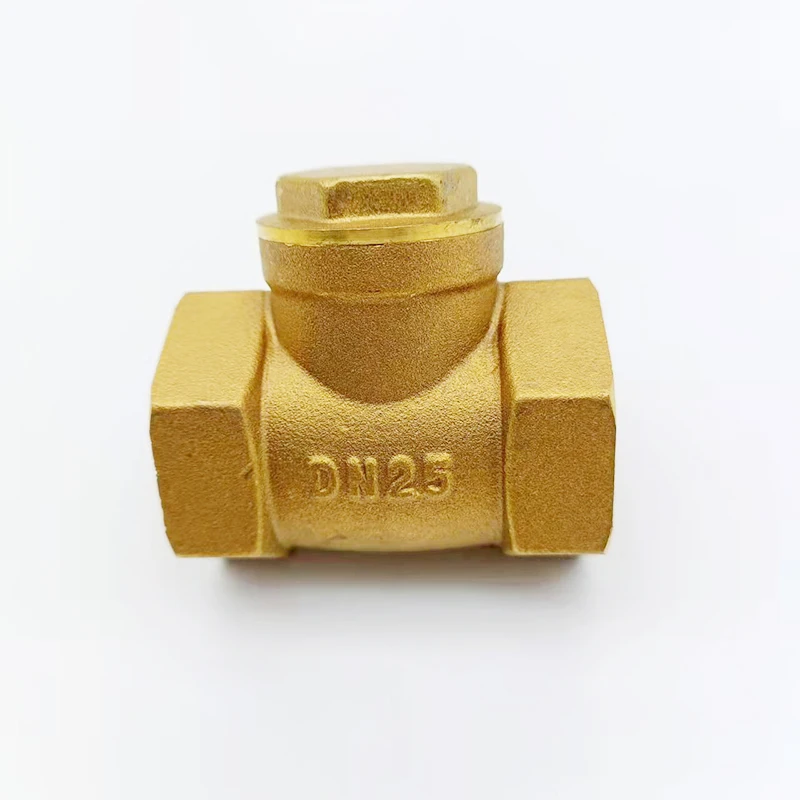 DN15 DN20 DN25 DN32 DN40 DN50 DN65 BSP Brass Internal Thread Check Valve Water Meter Pipe Valve One-way Horizontal Check Valve