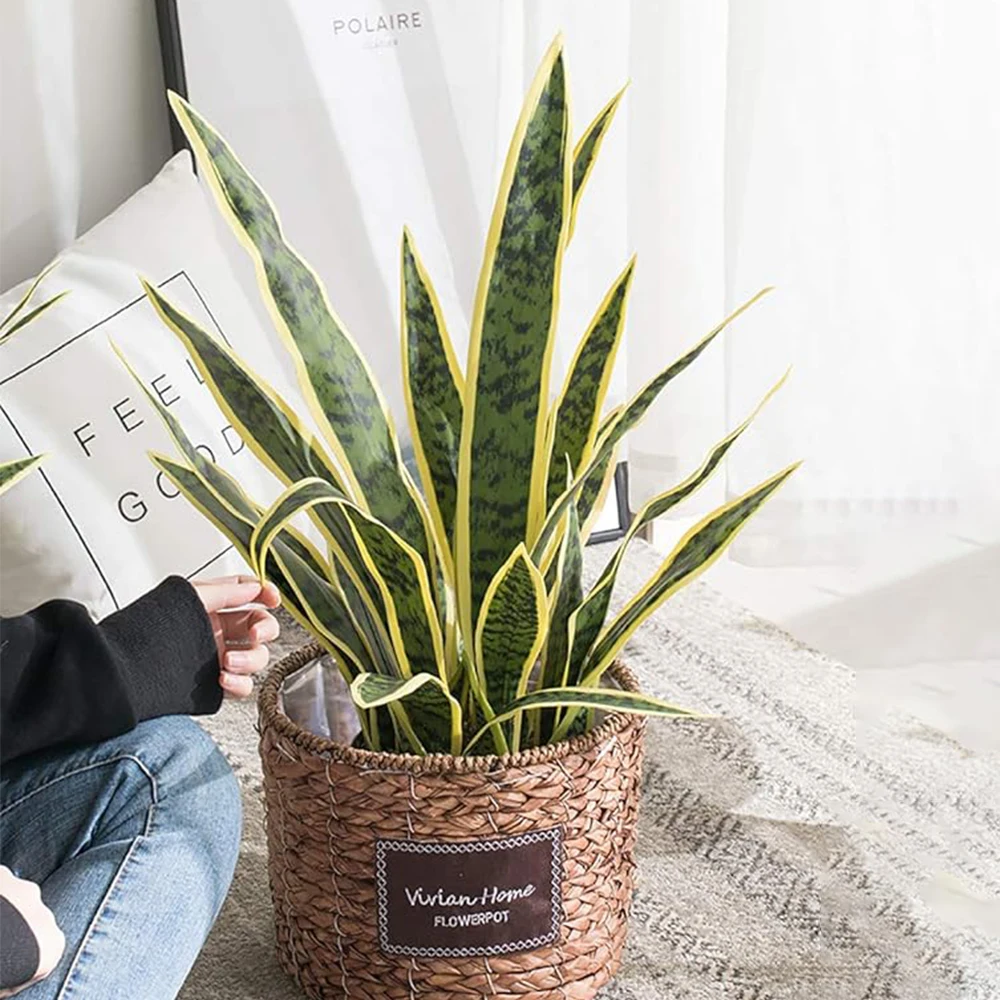 3 Plantas Artificiales de Sansevieria de 66 cm de Altura, Planta Artificial de Serpiente para Decoración de Interiores, Exteriores, Hogar, Habitación, Jardín, Oficina, Tienda
