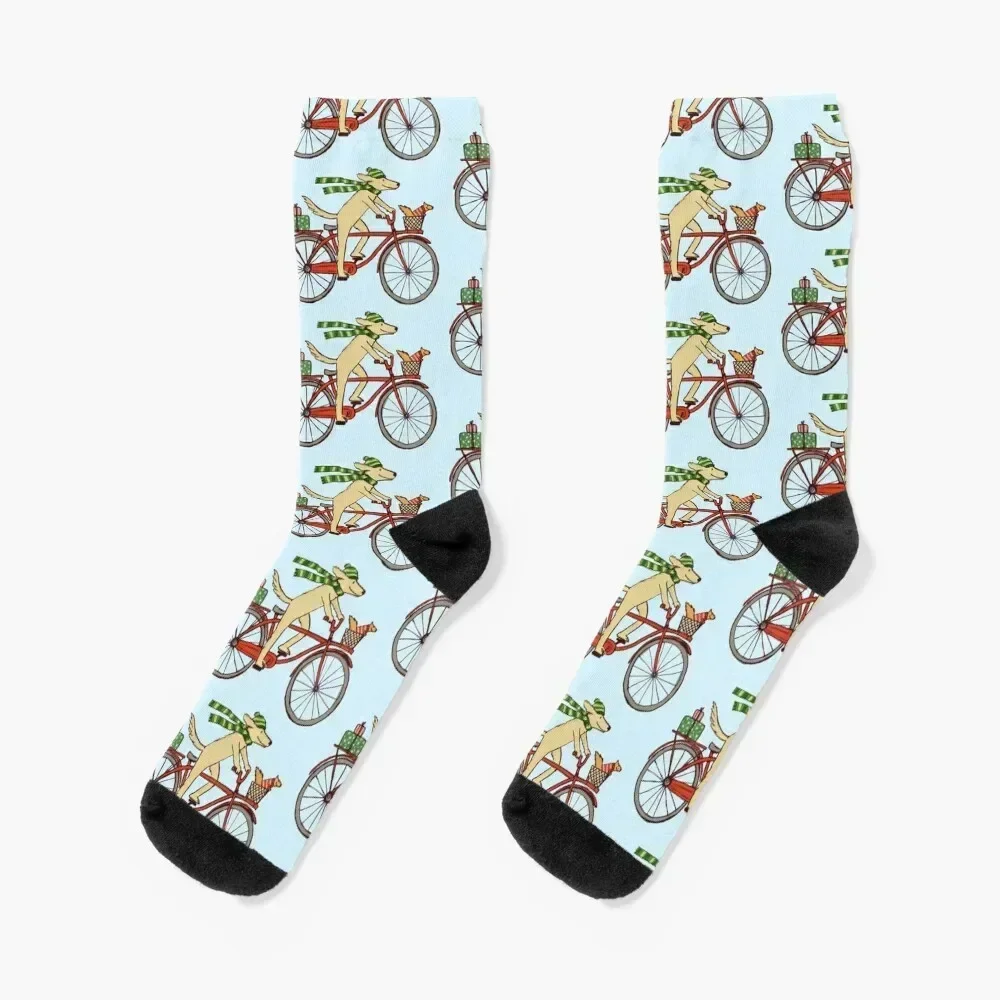 Dog Riding Bicycle with Squirrel Winter Holiday Socks Antiskid soccer designer luxe with print Socks Men's Women's