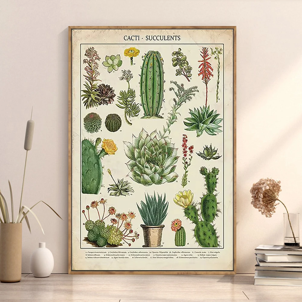 H353 Silk Poster Home Decoration Cacti & Succulents Kitchen Vintage Wall Art Christmas Gift