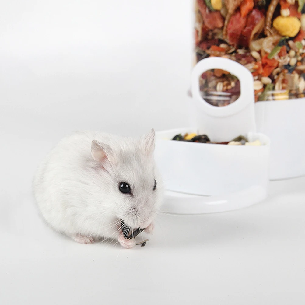 

Hedgehog Feeding Station Automatic Feeder Pet Food Hamster Containers Small Pets Dispenser