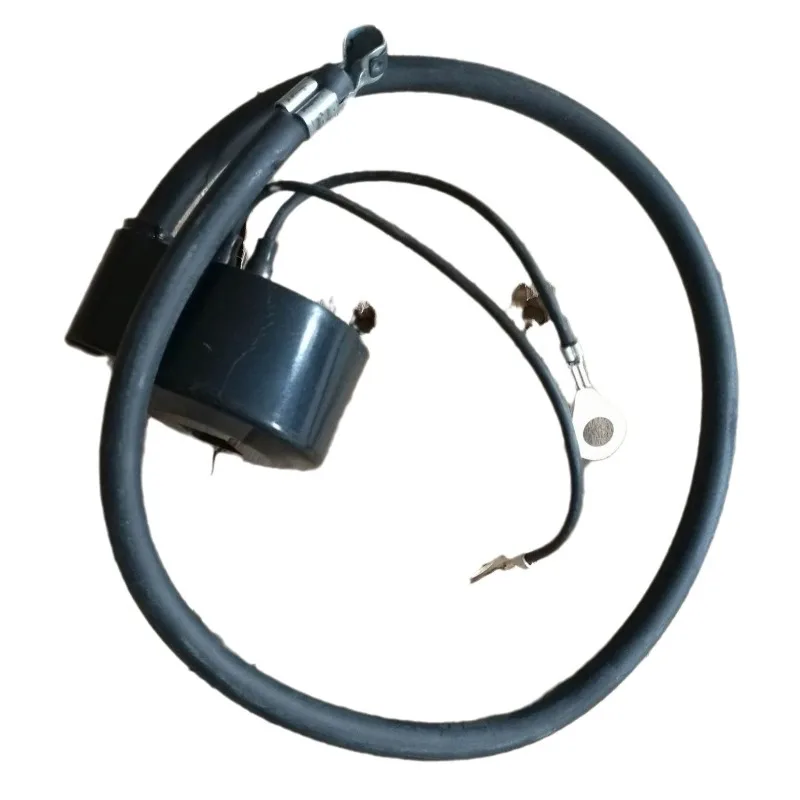 

Катушка зажигания магнето арматуры для Tecumseh 30560A 30546 Phelon FG-6240