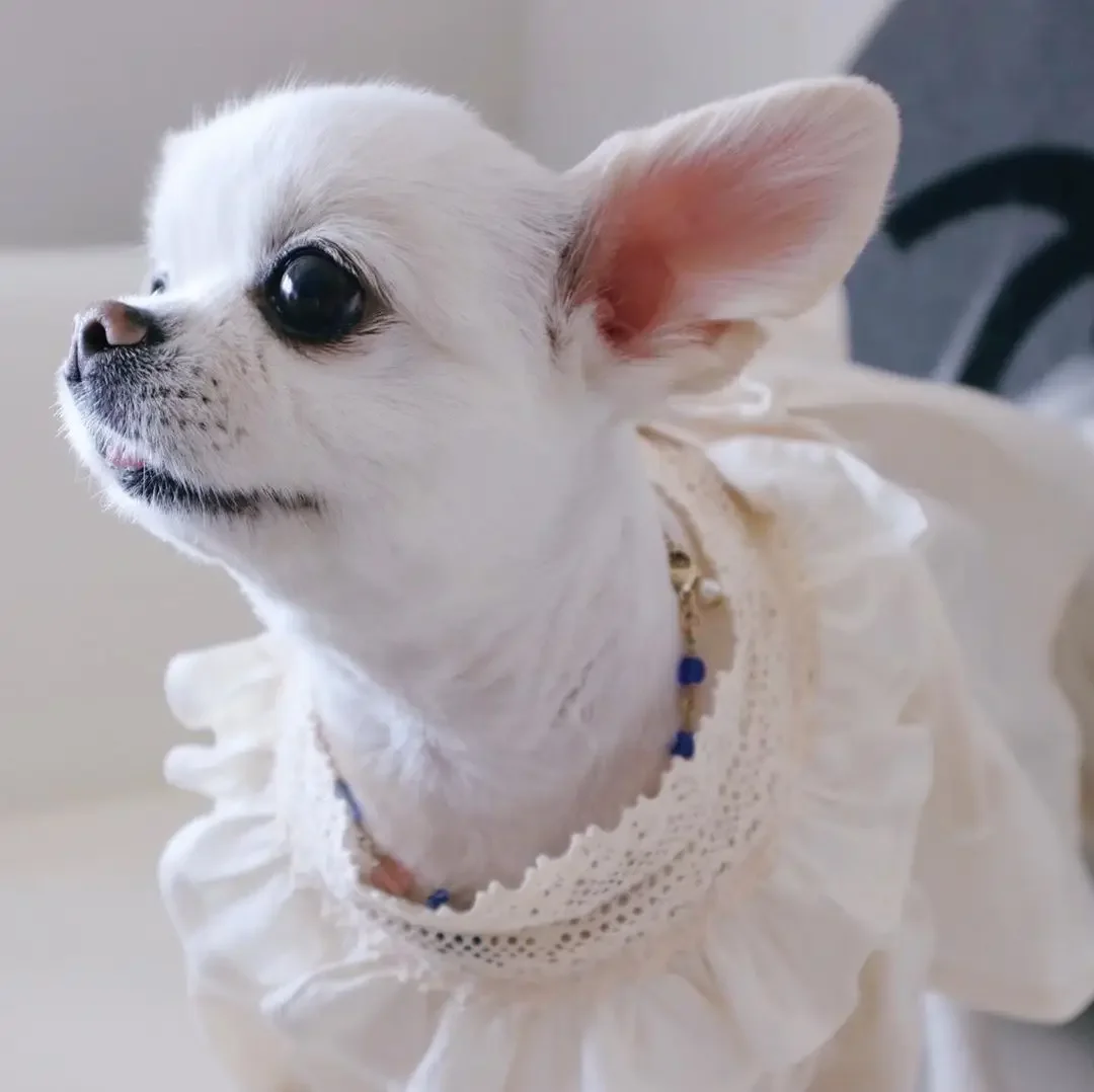 Handmade Cotton Linen Lace V-neck Lace Bandage Dog Skirt Pet Dog Clothes Puppy Dress Girl Chihuahua Cat Dresses