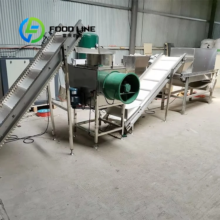 Automatic Complete Ginger and Garlic Production Machine Garlic Powder Processing Line