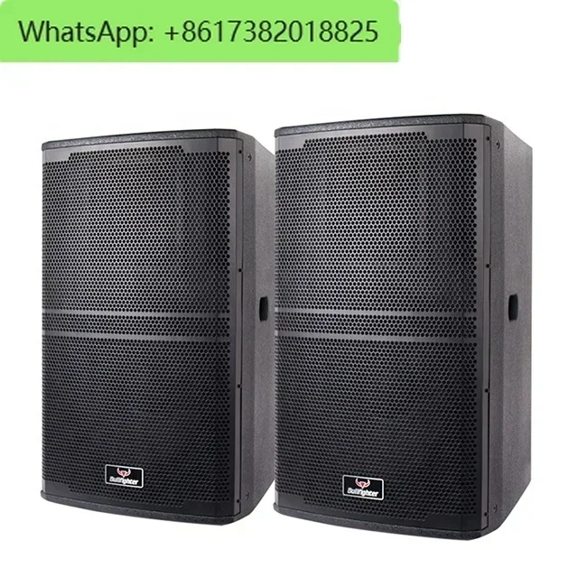 Bullfighter DG-500 Compact 500W Single 15inch woofer Stage  Professional Passive Amplifier Speaker