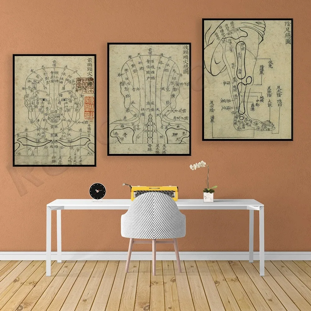 Asian Acupuncture Diagram Copy Printed Art Chart Decorative Canvas Printed Poster