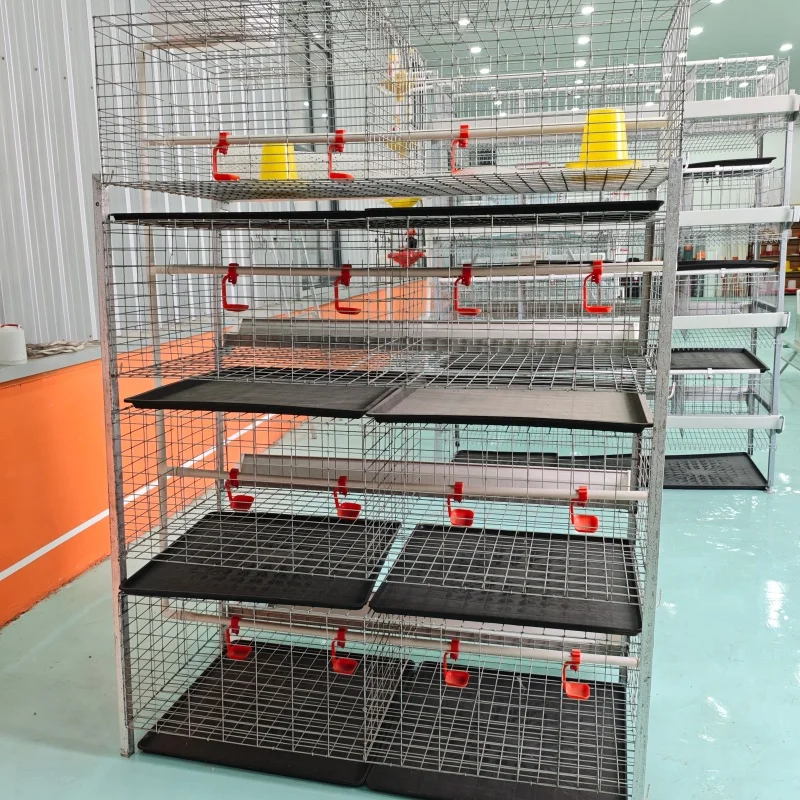 Прочная клетка для цыплят-бройлеров типа H, 4-уровневая клетка для цыплят-бройлеров, 4-уровневая клетка для цыплят-бройлеров, батарейная клетка для цыплят-фермысел