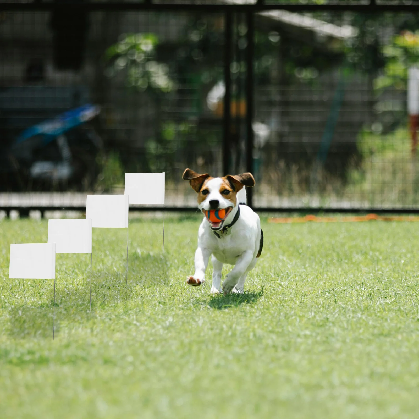 

24Pcs PVC Marking Flags 5.51x3.94in 15Inch Stainless Steel Stakes Industrial Underground Utilities Landscaping Surveying Pet