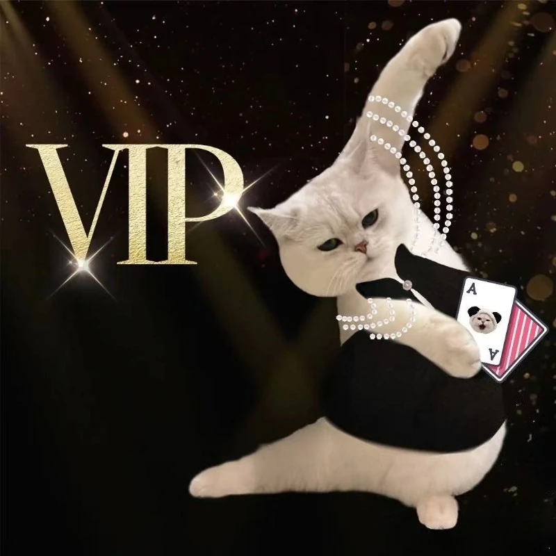 

Ссылка для оплаты VIP-клиента