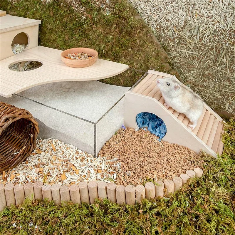Abms-Hamster House … - image