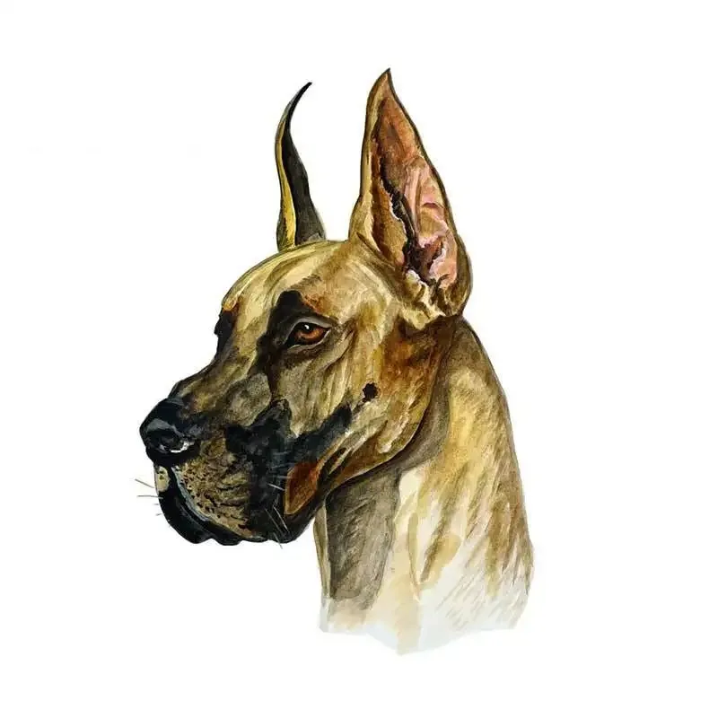 13cm X 9.1cm Car Stickers Graphics  Great Dane German Mastiff Cropped Ears Portrait Home Office Decor Decal Cartoon