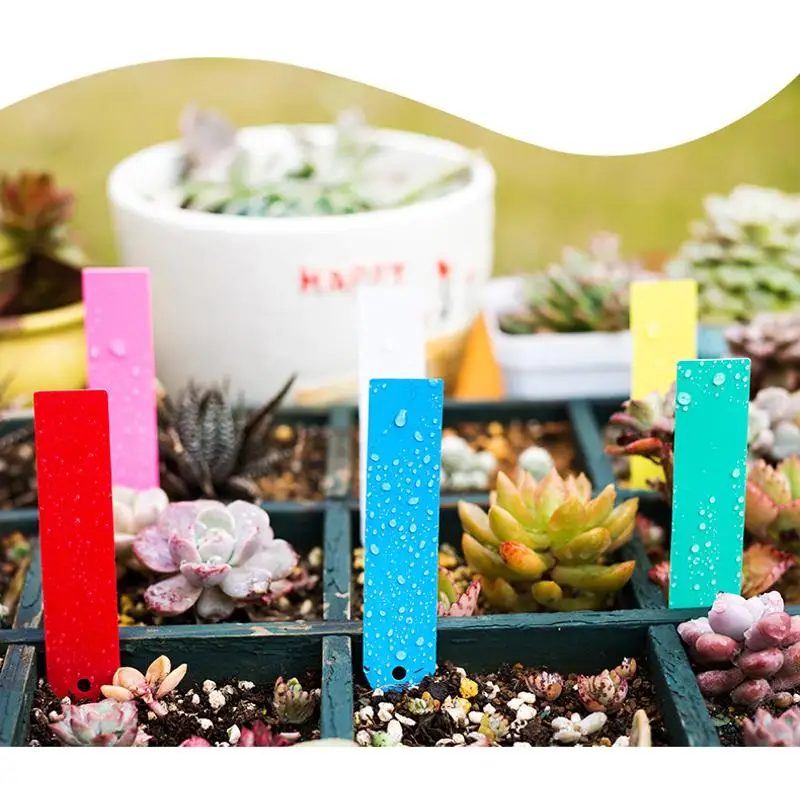 100Pcs/Set Garden Plant Seed Labels Nursery Flowers Tree Plant ID Tag Name Marking Labels Gardens Stake Supplies