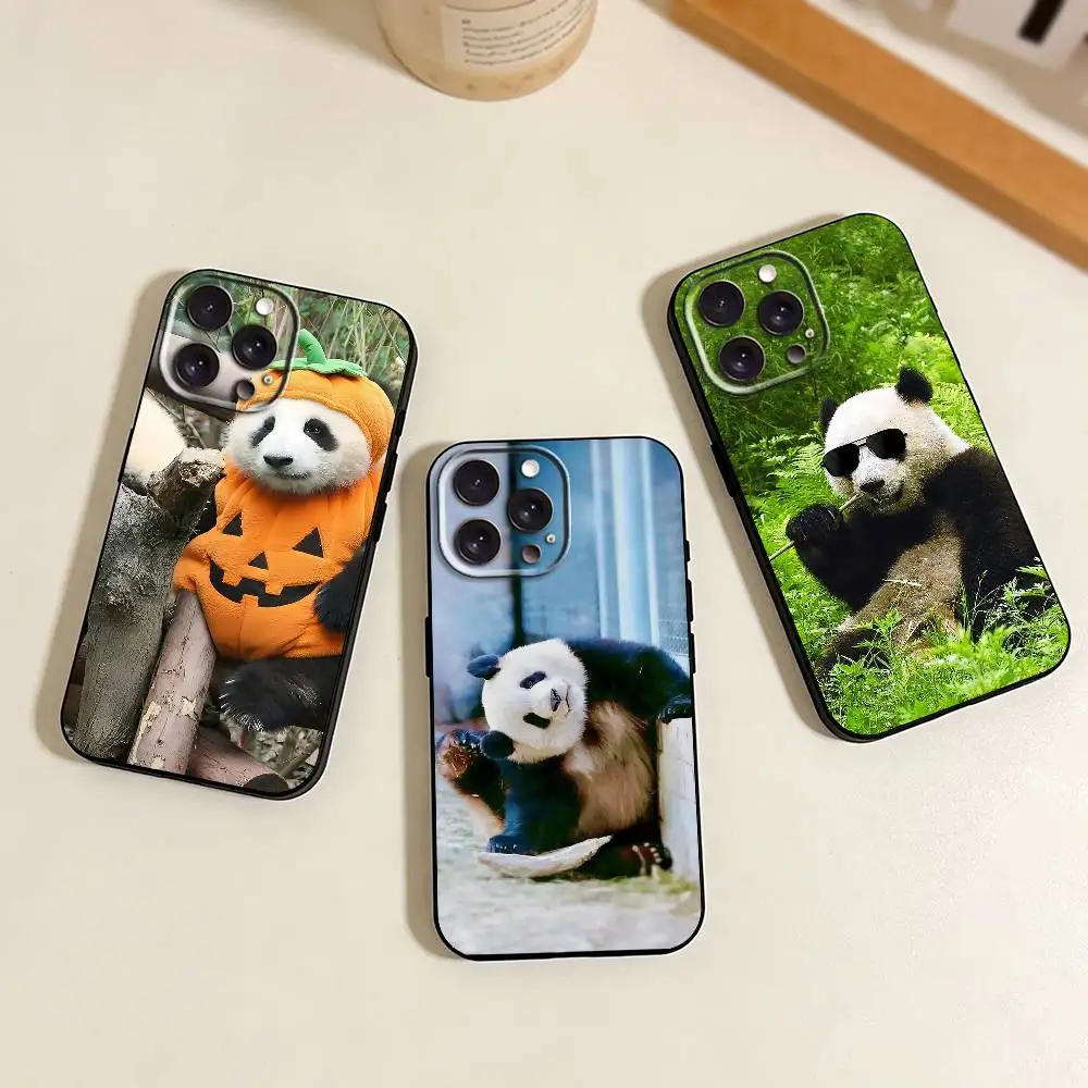 C-Cute Panda Phone …