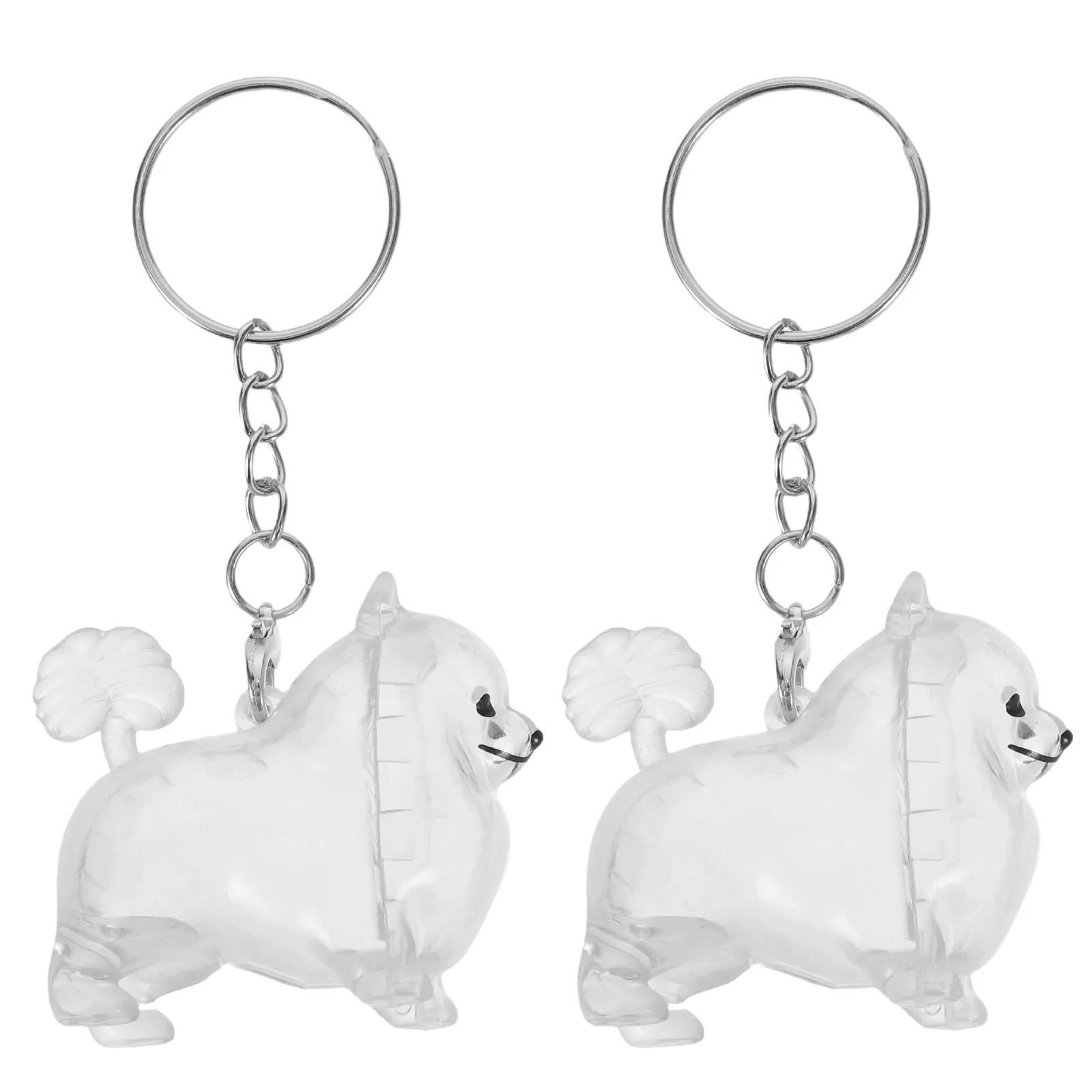 2Pcs Pet Hair Keepsake Keychain Elegant Memorial Box for Dog Cat Hair Preservation Pet Memorial Jewelry Keepsake Keyring Daily