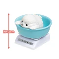 seal
