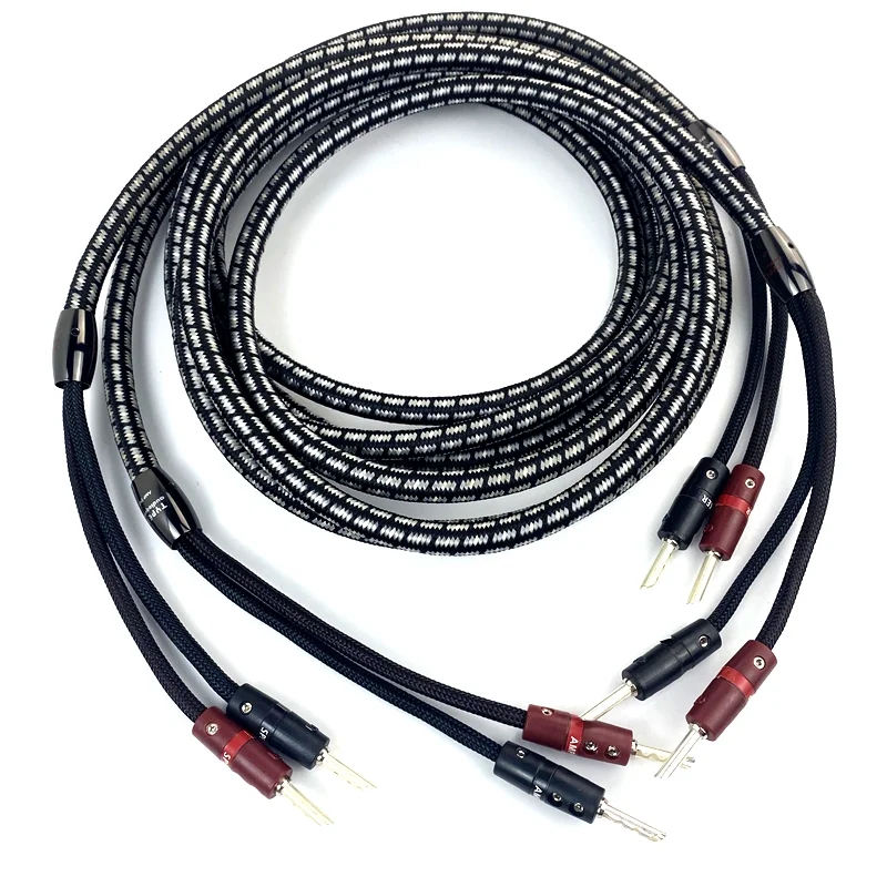 Cavo per altoparlante audio HiFi Audiophile Type8 OFC con spina a banana BFA placcata in argento per amplificatore Home Theater Sistema lettore DVD/CD