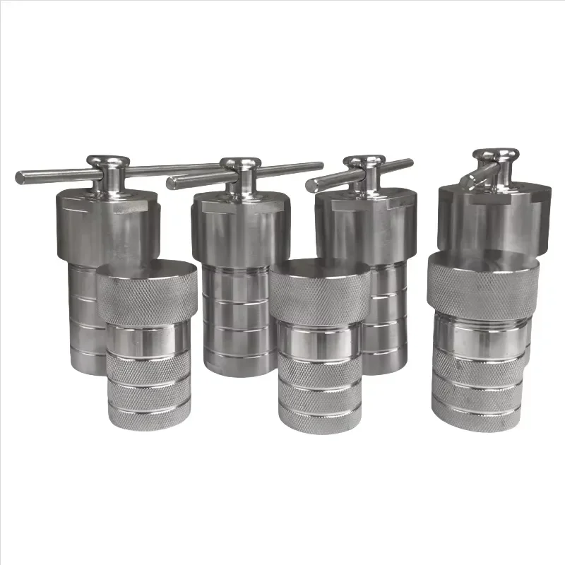 250ml PTFE Lined Hydrothermal Reactor 304L Stainless Steel High Pressure Autoclave for Lab Synthesis