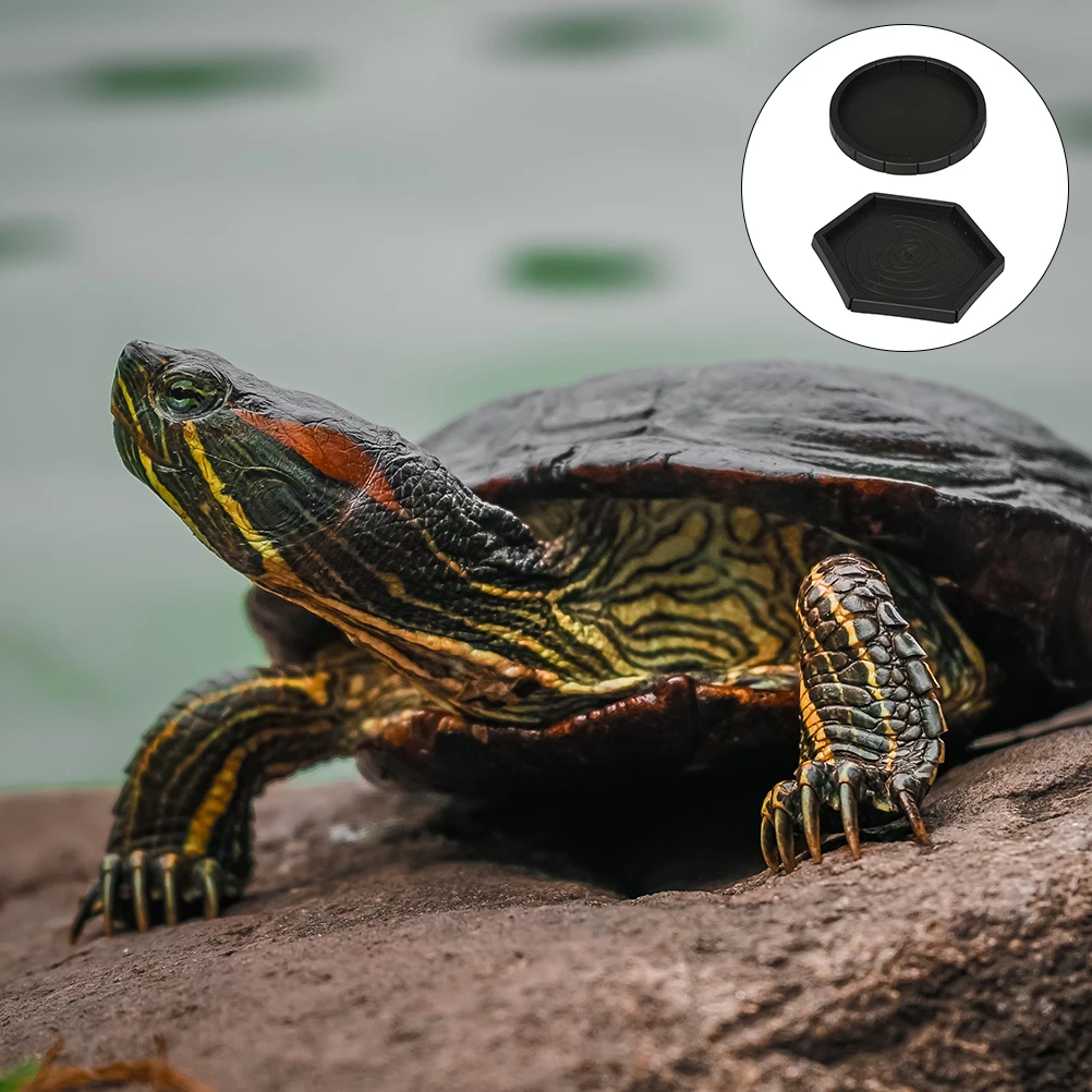 

2Pcs Reptile Thickened Design Lizards Food Bowls Plastic Pet Eating Bowls Water Containers Reptiles Supplies Pet Accessories