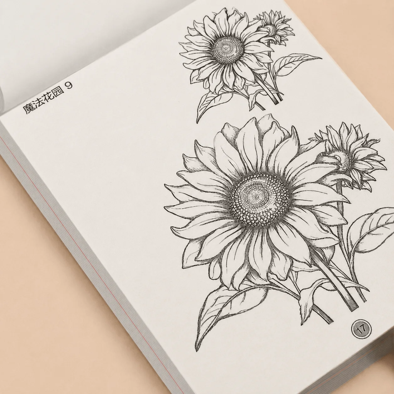 Adult Flower Coloring & Tracing Workbook 48 Pages Delicate Hibiscus Peony Floral Line Art Calming Leisure Drawing Book
