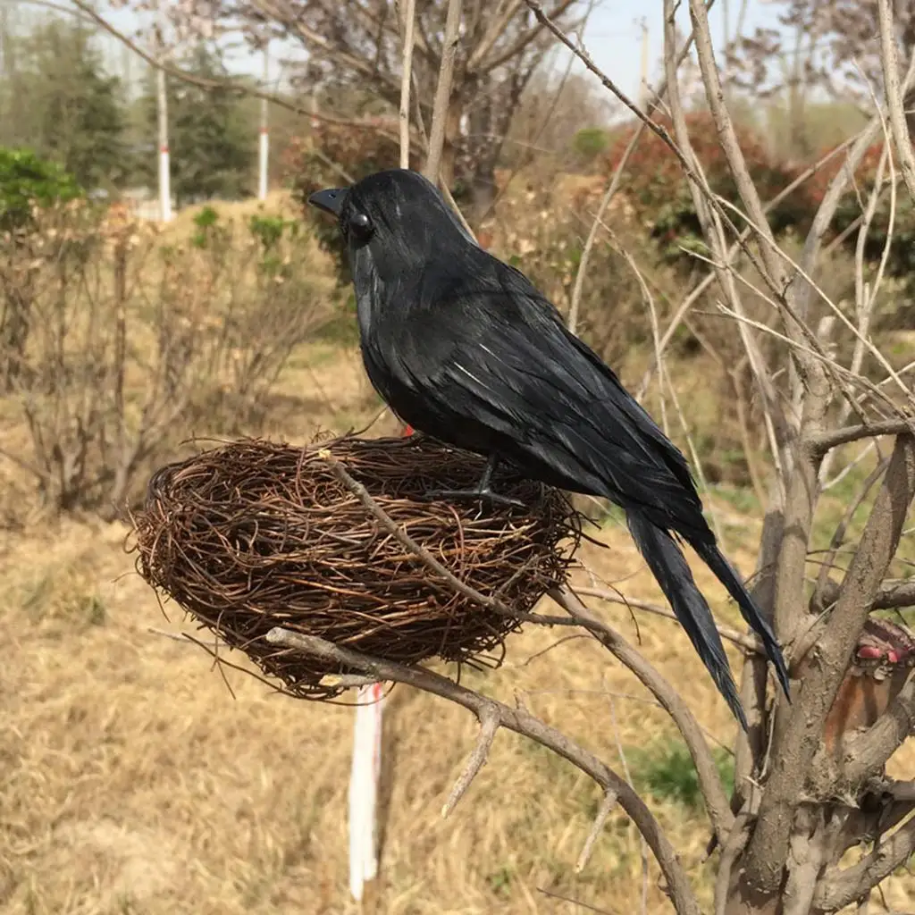 Black Feathered Halloween Crows Birds Realistic Small Raven Prop for Yard Garden Halloween Decoration