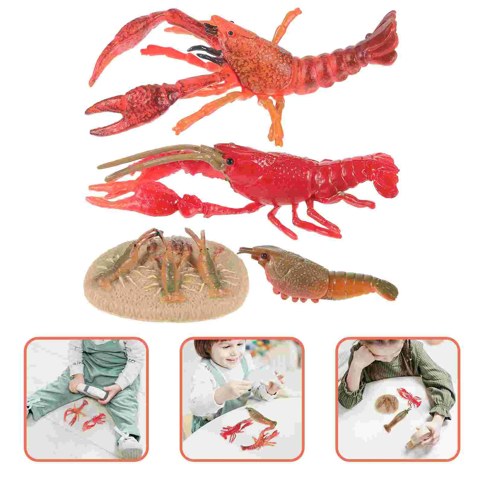 Animal Model Lobster Growing Cycle Models Life Toys Funny Educational Simulated Simulation Figurines Teaching Props